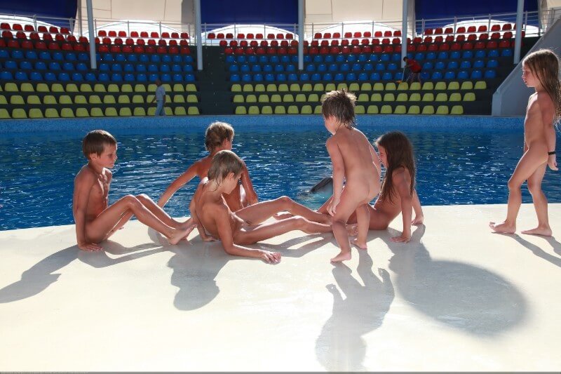 Swimming dolphins photo gallery - In nudism, people are equal to one another