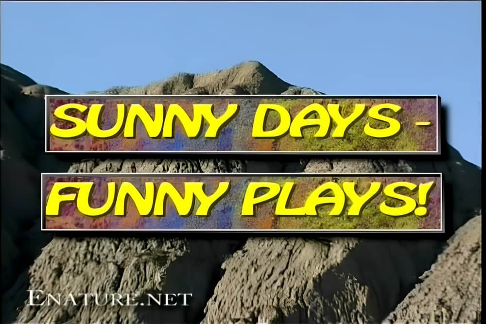 Enature - Sunny Days – Funny Plays - Naturism as a Way of Life