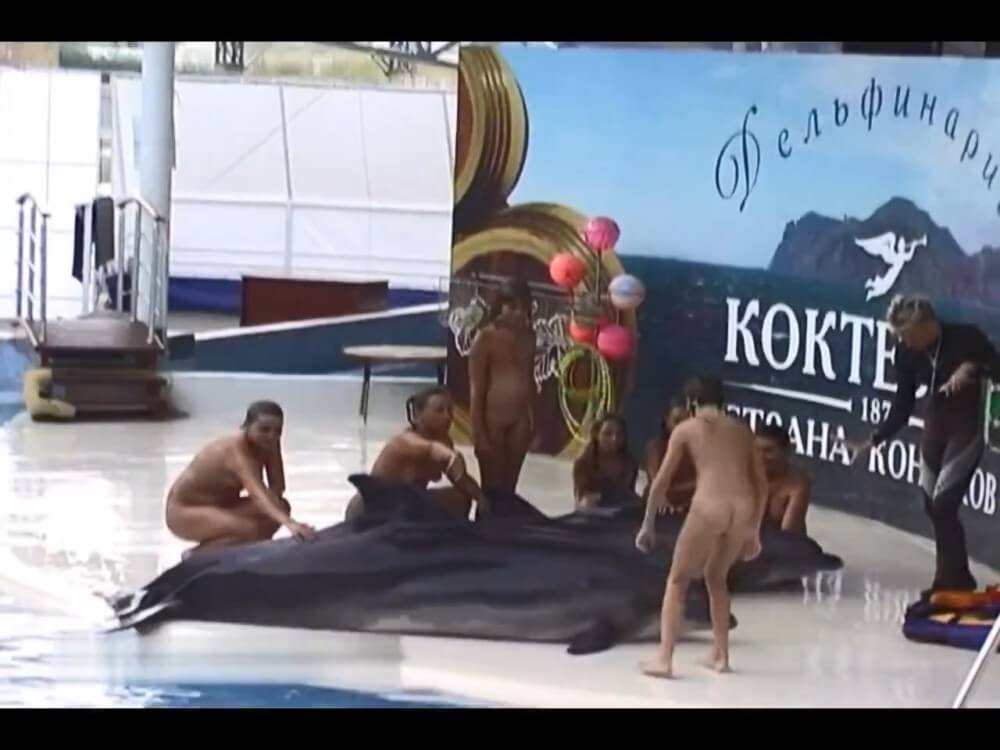Relaxing at the dolphinarium - There are many politicians among nudists