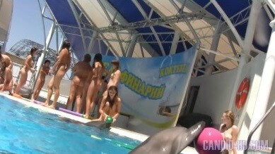 Amazing Dolphin Encounter HD video - It is a way to strengthen inner harmony and peace